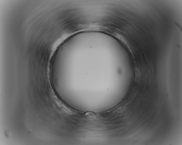 X0000100851480200807111203