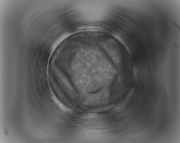 X0000100851482200807111203