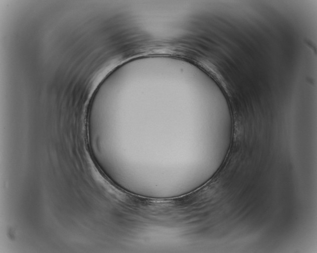 X0000100851483200807111203