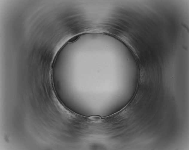 X0000100851484200807111203