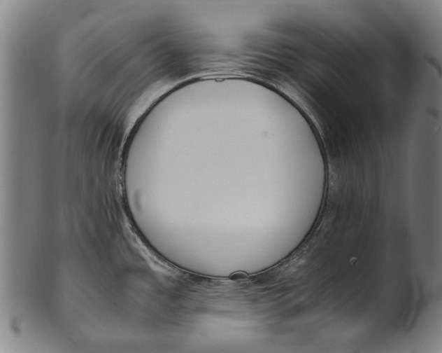 X0000100851485200807111203