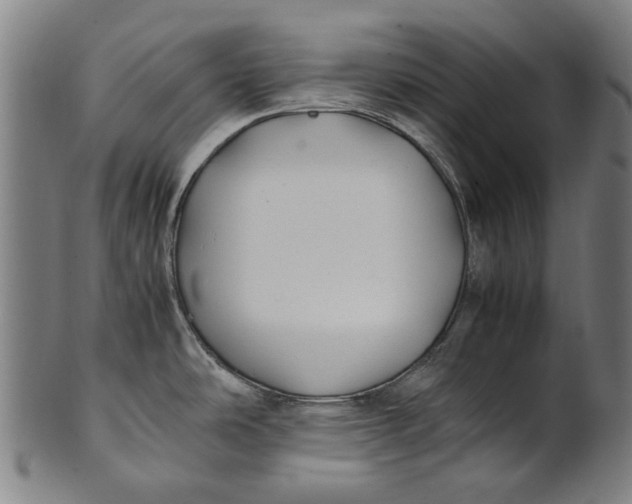 X0000100851486200807111203