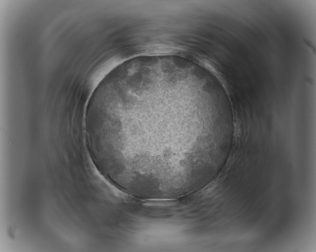 X0000100851487200807111203