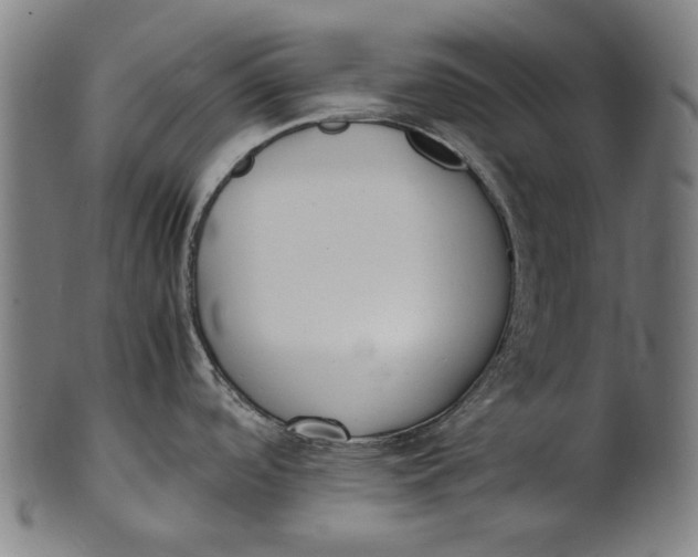 X0000100851488200807111203