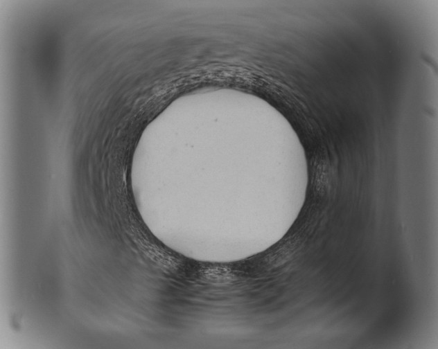 X0000100851489200807111203