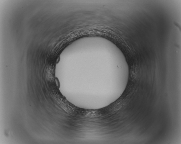 X0000100851490200807111203