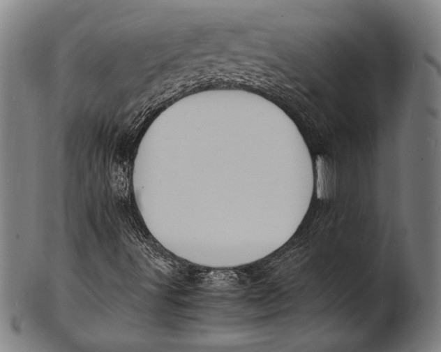 X0000100851491200807111203