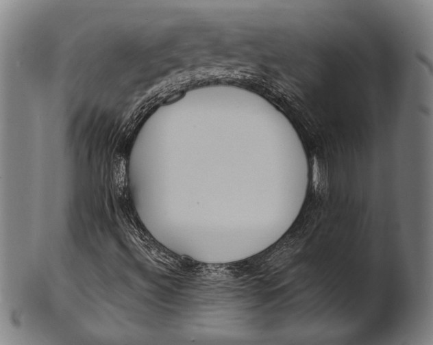 X0000100851492200807111203