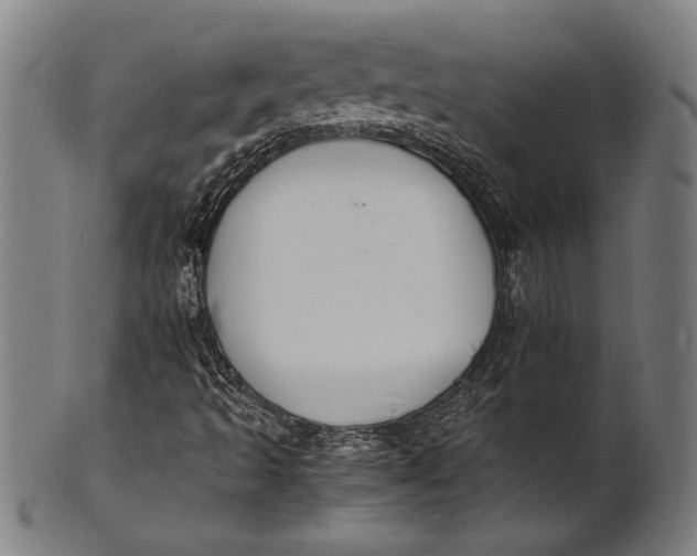 X0000100851493200807111203