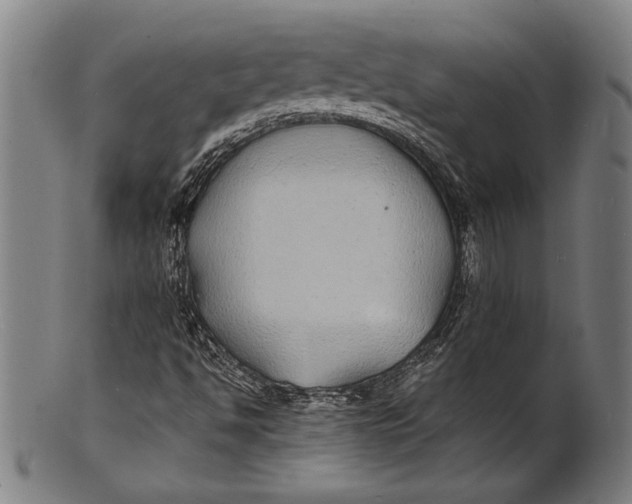 X0000100851494200807111203