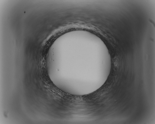 X0000100851495200807111203