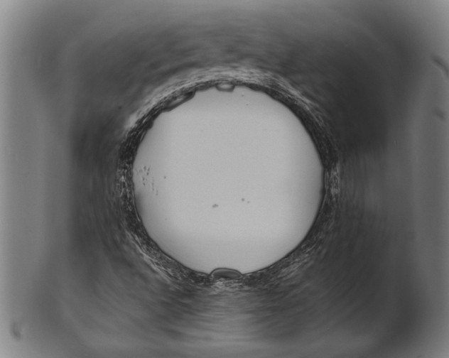 X0000100851496200807111203