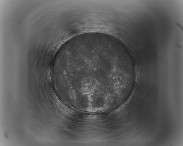 X0000100851497200807111203