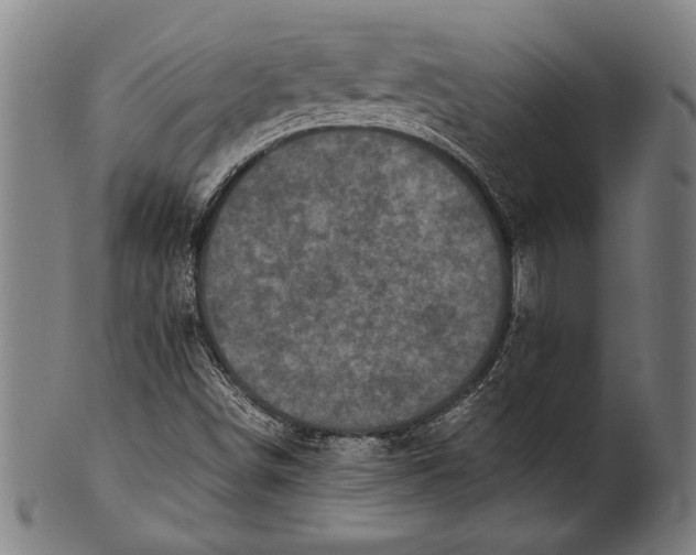 X0000100851498200807111203