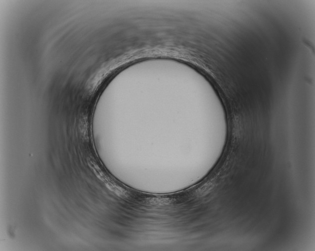 X0000100851499200807111203