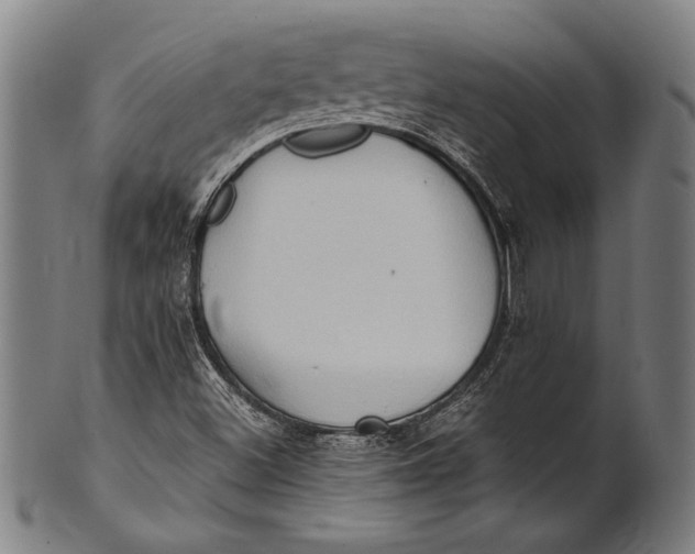 X0000100851500200807111203