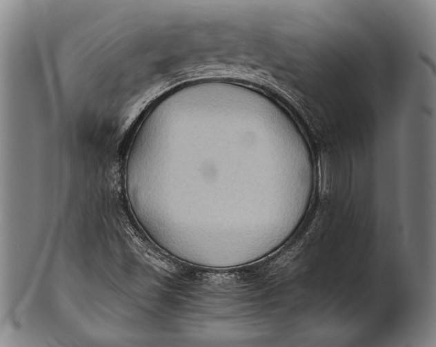 X0000100851501200807111203