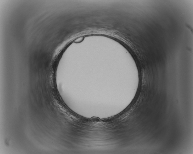 X0000100851502200807111203