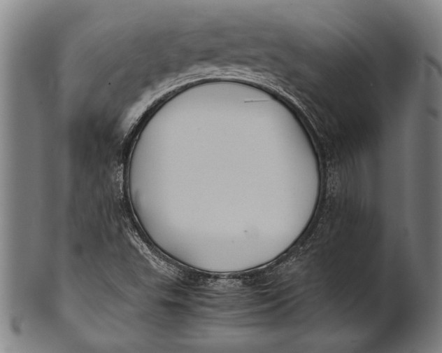 X0000100851503200807111203