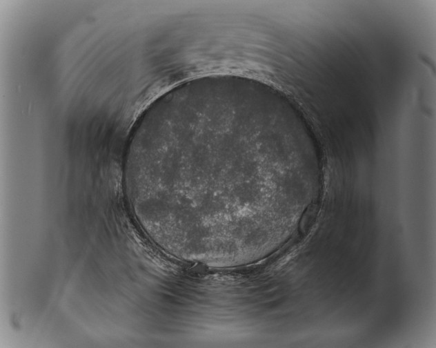 X0000100851505200807111203