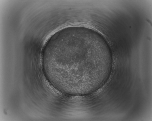 X0000100851506200807111203