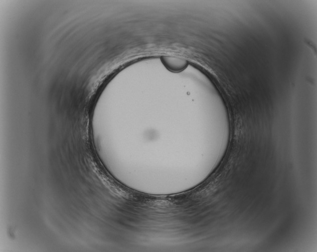 X0000100851507200807111203