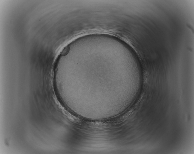 X0000100851508200807111203