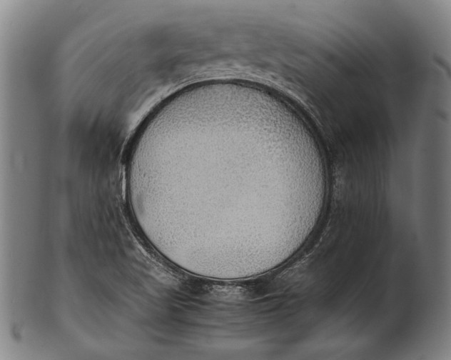 X0000100851509200807111203