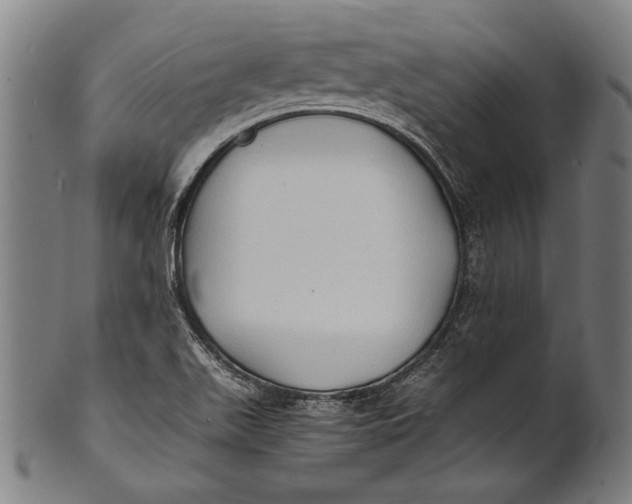 X0000100851511200807111203