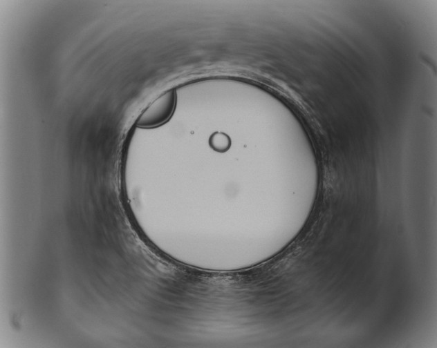 X0000100851512200807111203