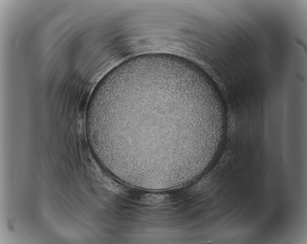 X0000100851513200807111203