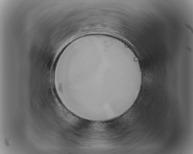 X0000100851514200807111203