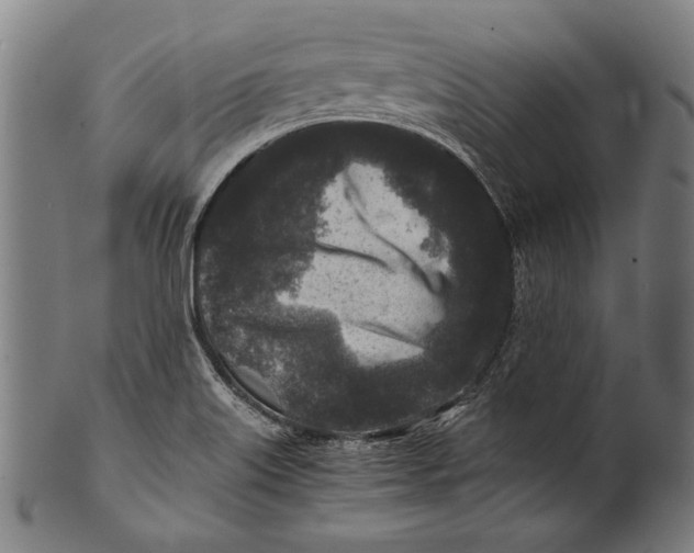 X0000100851515200807111203