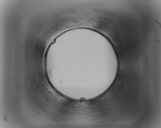 X0000100851516200807111203