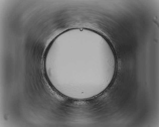 X0000100851517200807111203