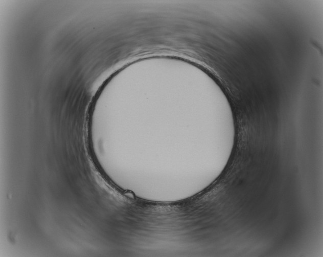 X0000100851518200807111203