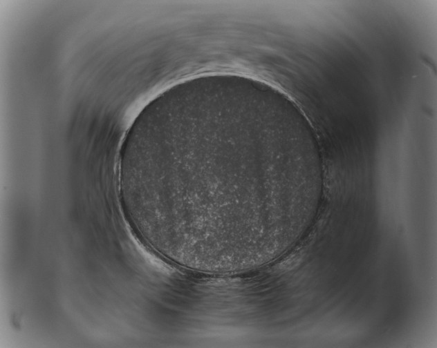 X0000100851519200807111203