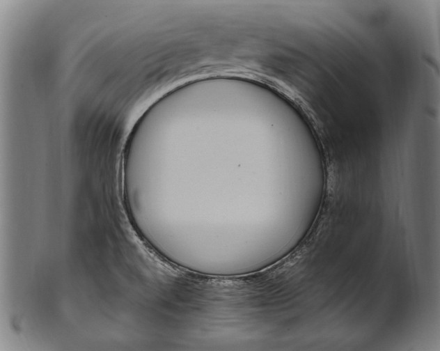 X0000100851520200807111203