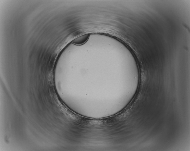 X0000100851521200807111203