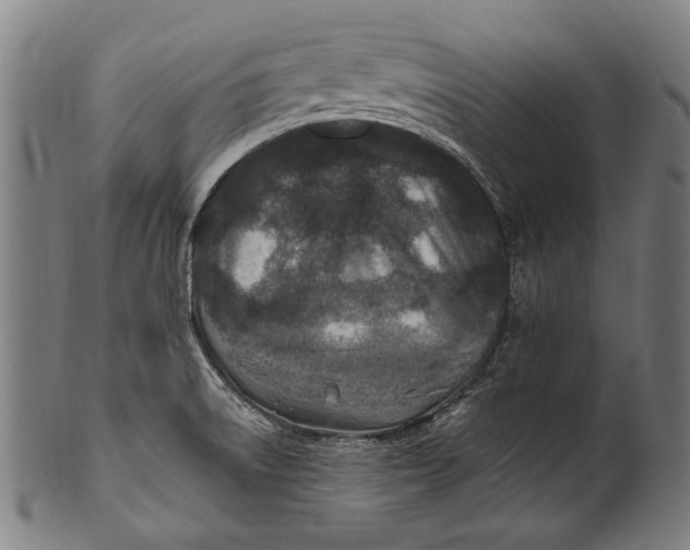 X0000100851522200807111203