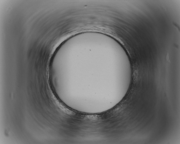 X0000100851523200807111203