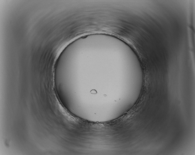 X0000100851524200807111203