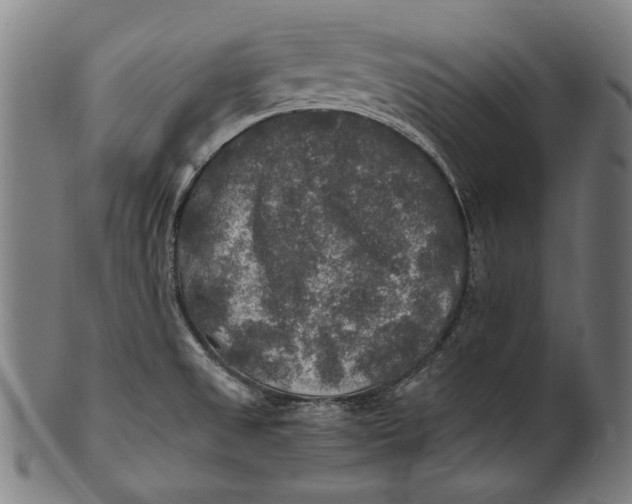 X0000100851525200807111203