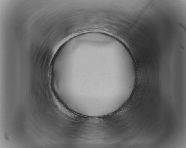 X0000100851526200807111203