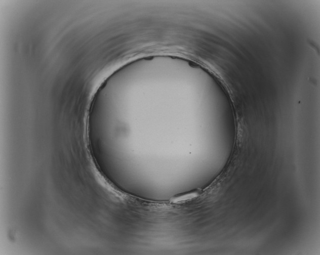 X0000100851528200807111203