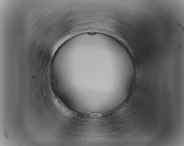 X0000100851530200807111203