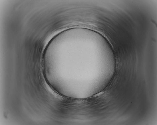 X0000100851531200807111203