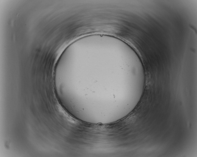 X0000100851532200807111203