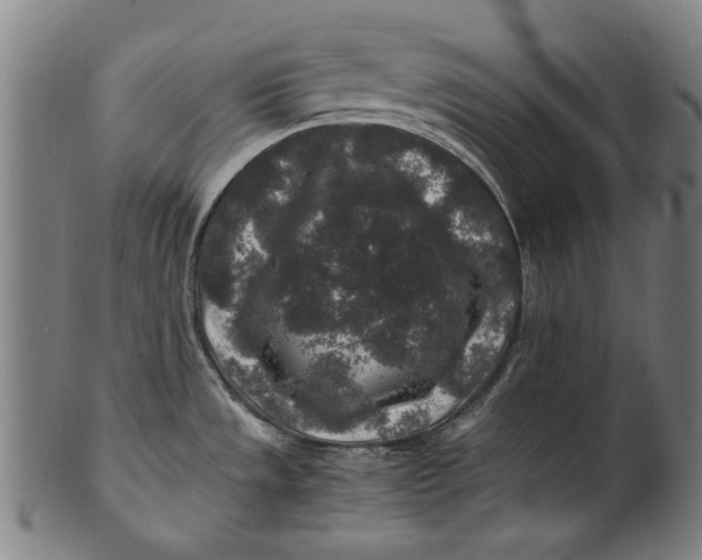 X0000100851533200807111203