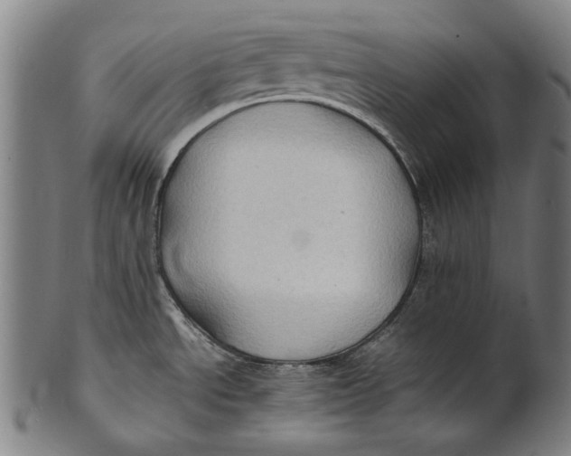 X0000100851534200807111203